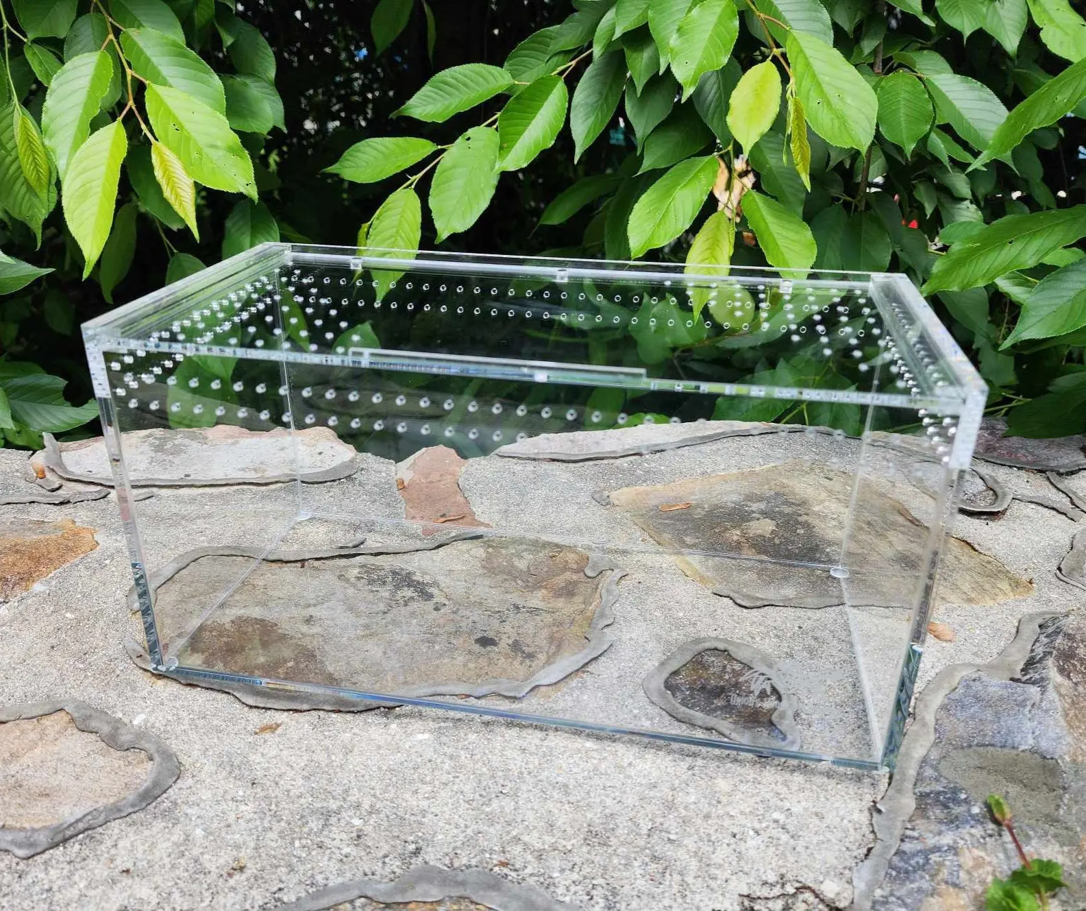 Top Opening Terrestial Tarantula Enclosure 12x6x6" READ DESCRIPTION