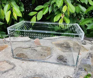 Top Opening Terrestial Tarantula Enclosure 12x6x6" READ DESCRIPTION