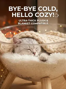 Modern Elevated Cat Space Capsule - Clear Acrylic Pet Bed with Solid Wood Frame & All-Season Mat