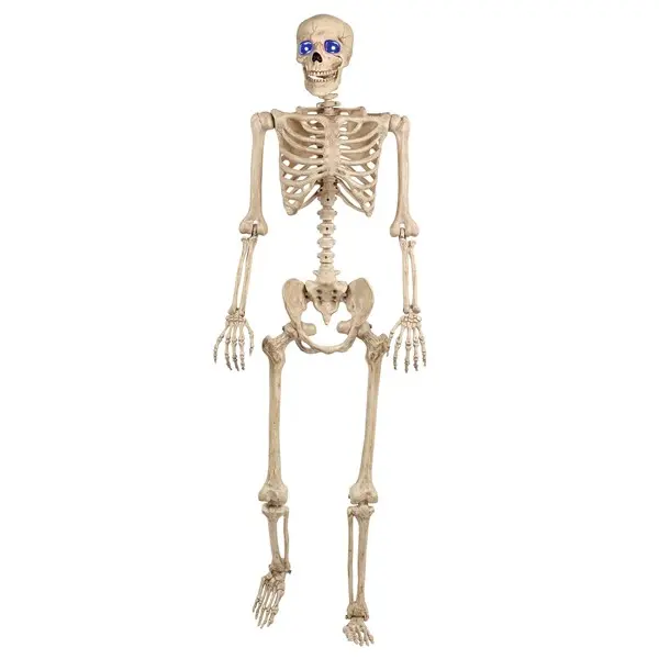 60 Inch Light Up Skeleton Halloween Decoration