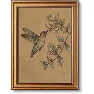 VIYYIEA Vintage Gold Framed Wall Art Living Room, Vintage Canvas Wall Art Prints Kitchen Bedroom, Animal Painting Pictures Prints, Sketch Artwork,Home Decor Aesthetic, Sketch Hummingbird, 16L x 12W