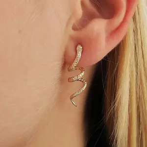 Niche creative punk hip-hop snake-shaped winding earrings fashionable exaggerated retro animal jewelry