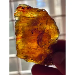24.73 grams Amber Raw Stone for Collection | Lapidary