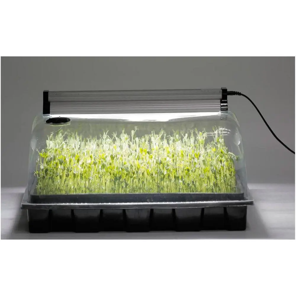 Seedling Starter Kit