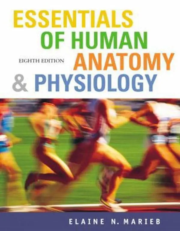 USED Book - Essentials Of Human Anatomy & Physiology: Essentials Of Human Anatomy And Physiology by Elaine Nicpon Marieb (Paperback) - english