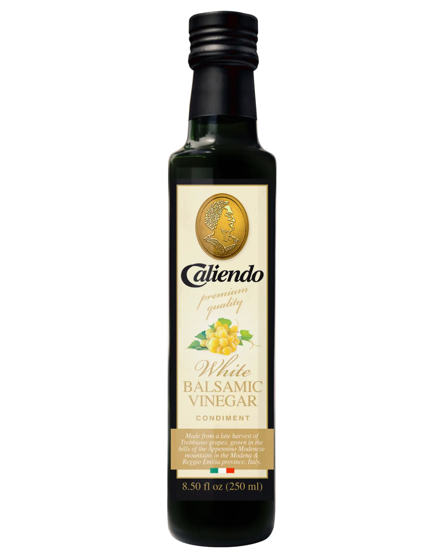 Caliendo Authentic Italian White Balsamic Vinegar of Modena 8.5 Fl Oz Glass Bottle