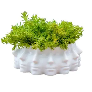 3D Printed Polyface Planter Home Decor | Head Planter | Face Plant Pot | Succulent Flower Pot | Indoor Planter | Cactus Planter |