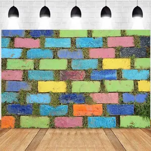 Photography Background Colorful Brick Wall Trendy Graffiti Street Art Personal Portrait Photo Studio Backdrop