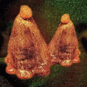 Black To Comm - Oocyte Oil & Stolen Androgens [Indie-Exclusive Colored Vinyl] NEW Vinyl Record 790377534115
