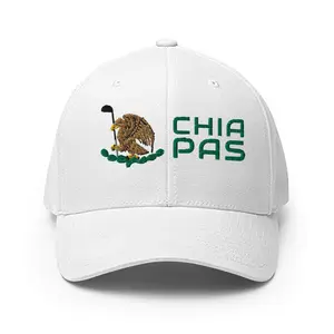 Chiapas Modern
