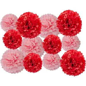 Pink Red Tissue Pom Poms Paper DIY Kit Decorative Flower Balls for Birthday Wedding Party Hanging Decorations Pack of 12 10in & 12in