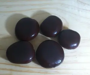 3 Seeds Entada Rheedii Seeds African Dream Beans Wildharvested