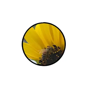 abbyrose Buzz Adhesive Phone Grip Black