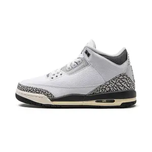 Air Jordan 3 GS "Hide N Sneak" DX6665 100
