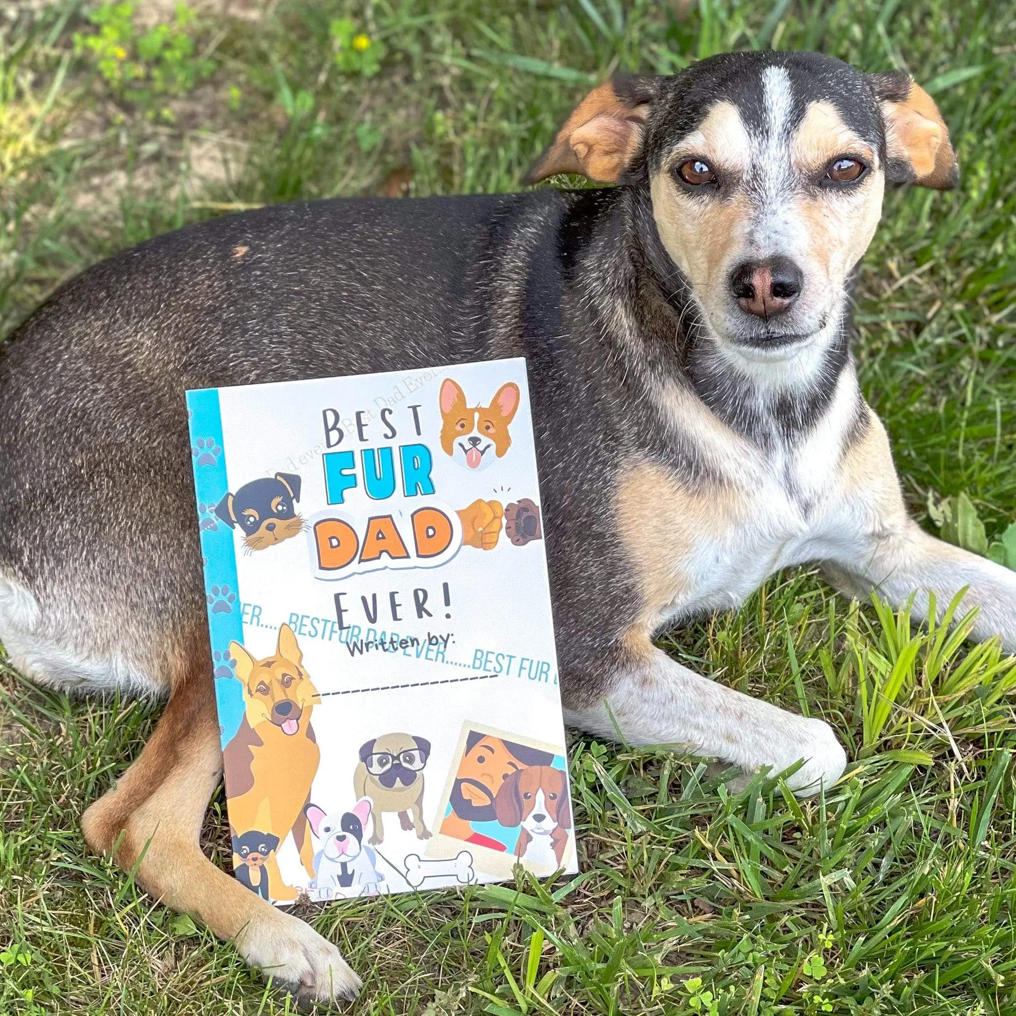 Best Fur Dad Ever Book, Written by Your 4 legged fur kids!