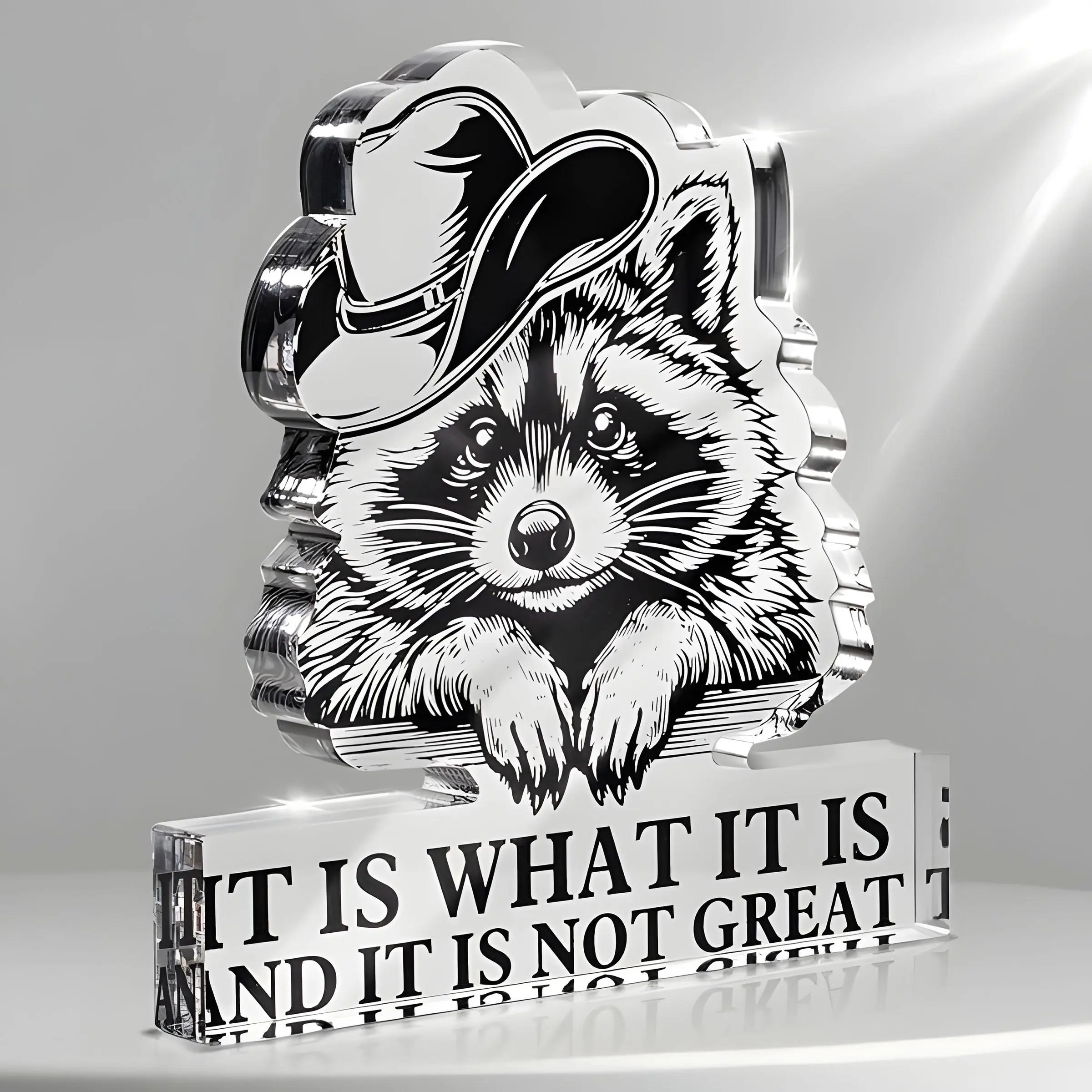 Cute Raccoon Design Acrylic Ornament, Funny Desktop Decoration, Desk Organizer for Home Office, Gift for Women & Men