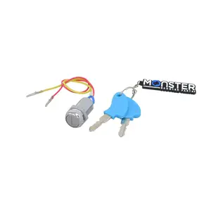 Two Wire Ignition Module (Key Switch) with Keys