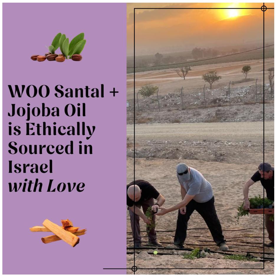 WOO World of Oils Glow-To-Go Set – 100% Organic Cold-Pressed Beauty Oils for Skin, Hair & Nails | Hydrating, Brightening, Non-Greasy | Travel-Size Multi-Use Kit