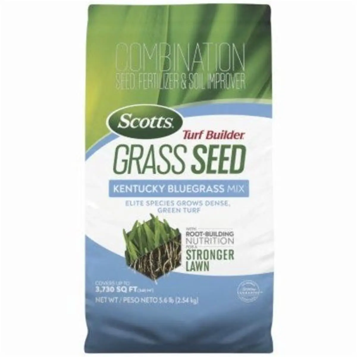 212 MAIN Turf Builder Kentucky Bluegrass Mix Plant Seeds, 5.6 lbs with Root-Building Nutrition for Stronger Lawn, Home Improvement & Garden Supplies Outdoor Use Seed Packet