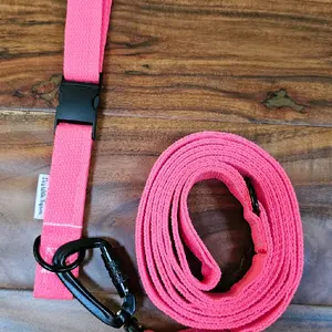 Neon Pink Dog Collar Leash Combo