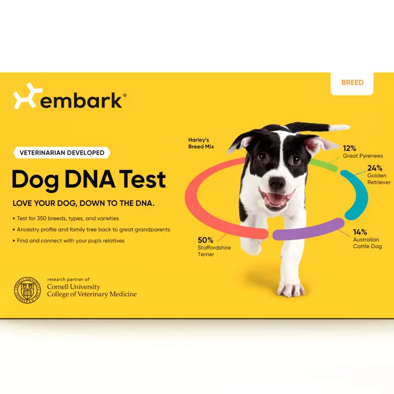 Breed Identification Dog DNA Test