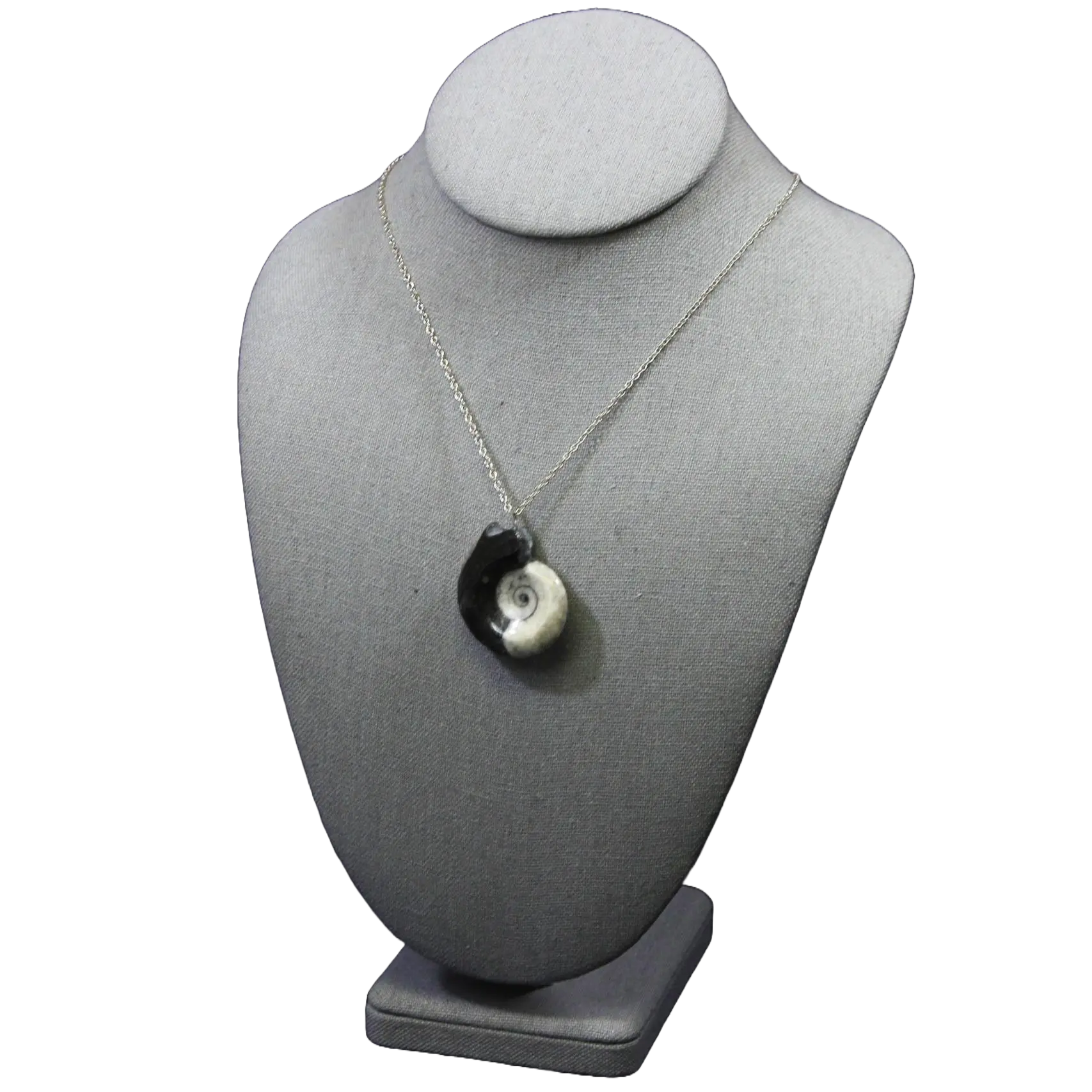Black Ammonite Pendant