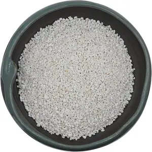 10QT 3-6mm Horticultural Perlite Bulk, Organic Coarse Perlite for Gardening, Indoor Houseplants, Promotes Soil Root Growth and Water Drainage for Plant Growth