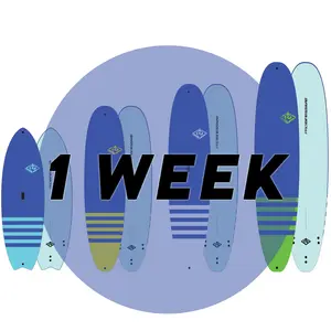 1 Week Surfboard Rental in Daytona Beach | Board Sizes 6’6”–9’6” | Sandy Point Progressive Sports