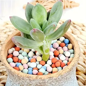 Vibrant Multicolor Clay Pebbles - Premium Lava Balls for Gardening, Aquaponics and Water Bonsai Decoration - 7-8mm, Ideal for Drainage and Plant Growth - Durable, Reusable and Eco-Friendly