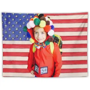 Nelson Celebrity and Decorations Ian Stuff American Pink Flags Wall Funny Tapestry Hanging Neumann Merch for Dorm Bedroom Decorative Aesthetic