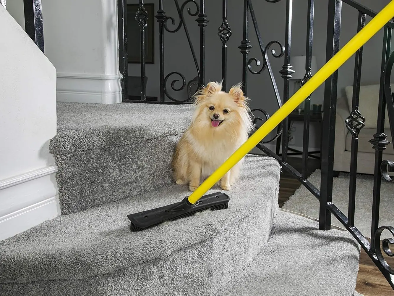 "DON'T MISS OUT" Original Indoor Pet Hair Rubber Broom with Carpet Rake and Squeegee, Black and Yellow