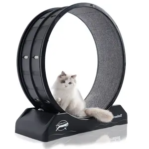 Cat Wheel - Easy to Install Cat Wheels for Indoor Cats - Suitable for Most Cats#cozyvibes#petlife