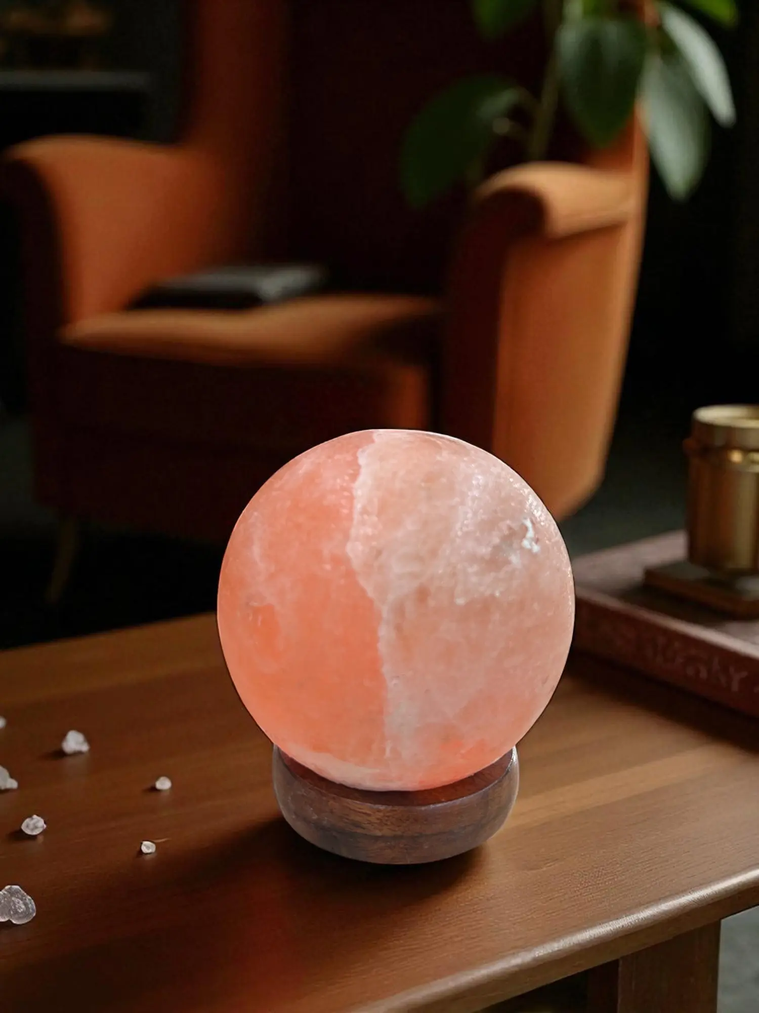 Pink Globe with USB