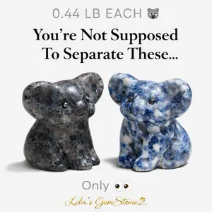 Shadow & Truth Guardian Koala Pair  | Balance Energy | Collector Piece | 0.44 LB Each