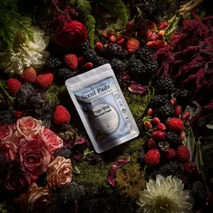 Petals & Fire Vacuum Scent Pads - Wild Strawberry Black Currant Jasmine & Ylang-Ylang Juicy Wicked Scent for Garden Party Rebels