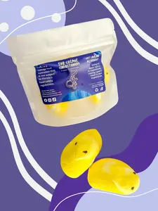 Freeze Dried Galactic Marshmallows - Yellow Chicks