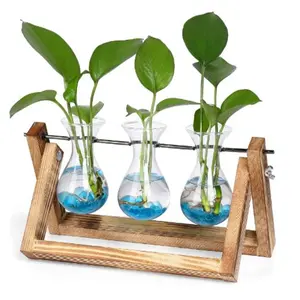 Plant Terrarium with Wooden Stand, Desktop Propagation Stations (Brown, 3Bulb)