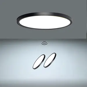 Human Motion Sensor Ceiling Light, 24w LED, Smart Voice Control, Ideal for Closet, Hallway, Garage, Basement, 5000k Brightness