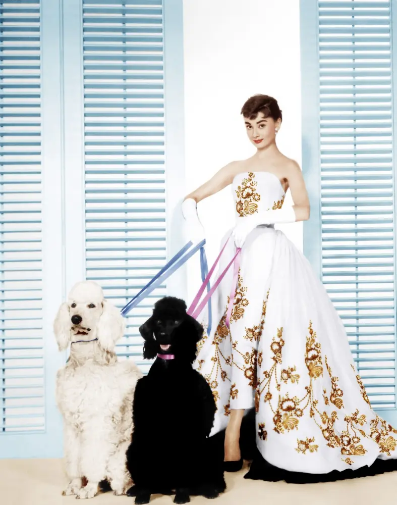 Everett Collection EVCM8DSABREC003H 16x20 Large Wall Decor Photo Print - Audrey Hepburn in Givenchy Gown (1954) for Film Lovers