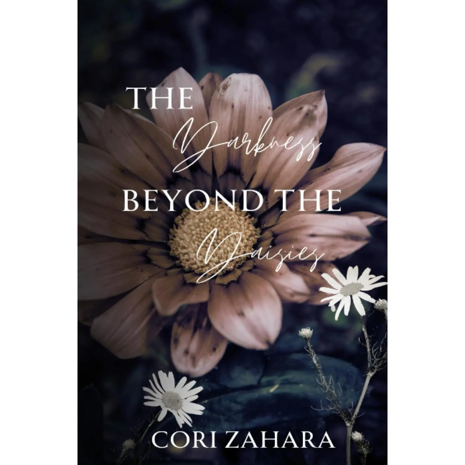 The Darkness Beyond the Daisies (Break Me, Heal Me)