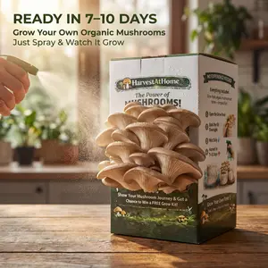 Harvest At Home Organic Oyster Mushroom Grow Kit 3.5 lb | Grow Mushrooms at Home | Ready in 7–10 Days | No Soil No Sun | High Yield Kit | Beginner Friendly | Indoor Gardening Kit | Perfect Gift for Adults & KidsGift for Adults & Kids