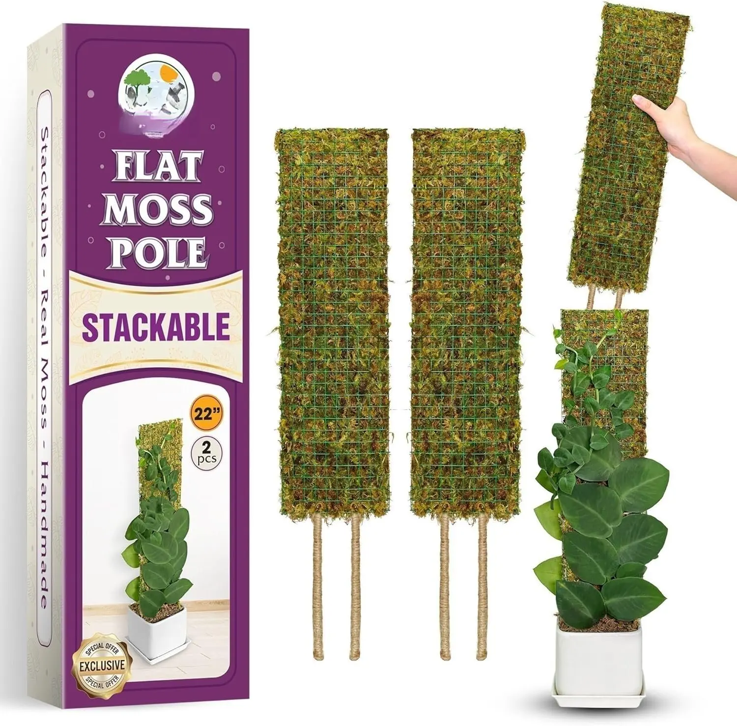 Flat Mesh Moss Poles for Climbing  Monstera Stackable Moss Pole for  with Real Moss Moss  Pole for Potted  Handmade Moss Stick for Indoor  Grow Upward 2 Pack 22