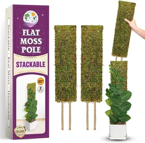 Flat Mesh Moss Poles for Climbing  Monstera Stackable Moss Pole for  with Real Moss Moss  Pole for Potted  Handmade Moss Stick for Indoor  Grow Upward 2 Pack 22