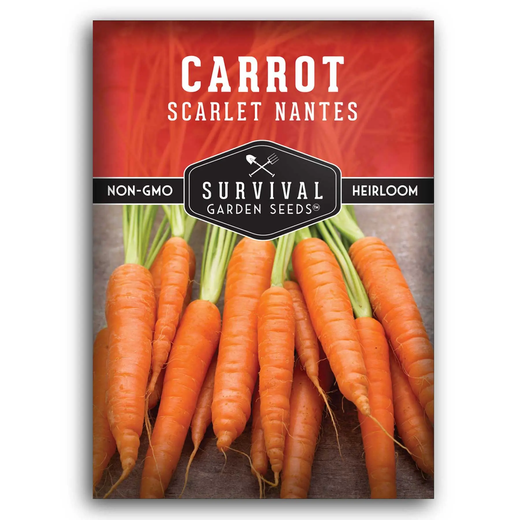 Scarlet Nantes Carrot Seed Scarlet Nantes Carrot Seed