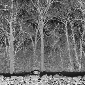 Pile - Sunshine and Balance Beams  [COMPACT DISC - CD] Explicit