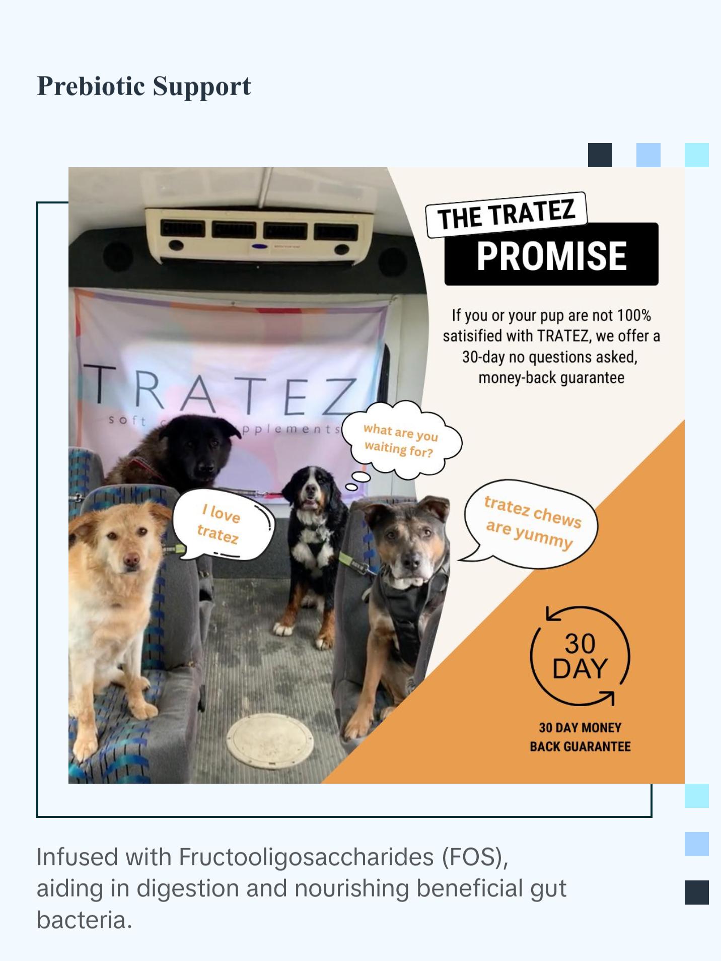 TRATEZ Probiotic Supplement for Dogs - 90 Duck Flavour Soft Chews - Advanced Formula for Premium Gut Health, Digestive and Immune System Support