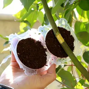 10-Piece Plastic Plant Breeding Graft Box - Spherical Design with Airflow Holes, No Power Required for Gardening, Urban Farms, and Indoor and Outdoor Plant Breeding, Clear Dome Cover, Plant Rooting Ball, Breathable Planting Container