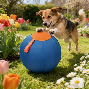 Dog Ball Dog Toys, Cattle Dog Polo Ball, Australian Shepherd Dog Polo, Dog Giant Ball Toy, Full Set Of Dog Ball Golden Retriever Bite Ball To Relieve Boredom Ball To Tease Shiba Inu Corgi Self-Hi Pet Training Ball Outdoor