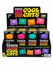 NeeDoh Teenie Cool Cats 100% Authentic - Accessories