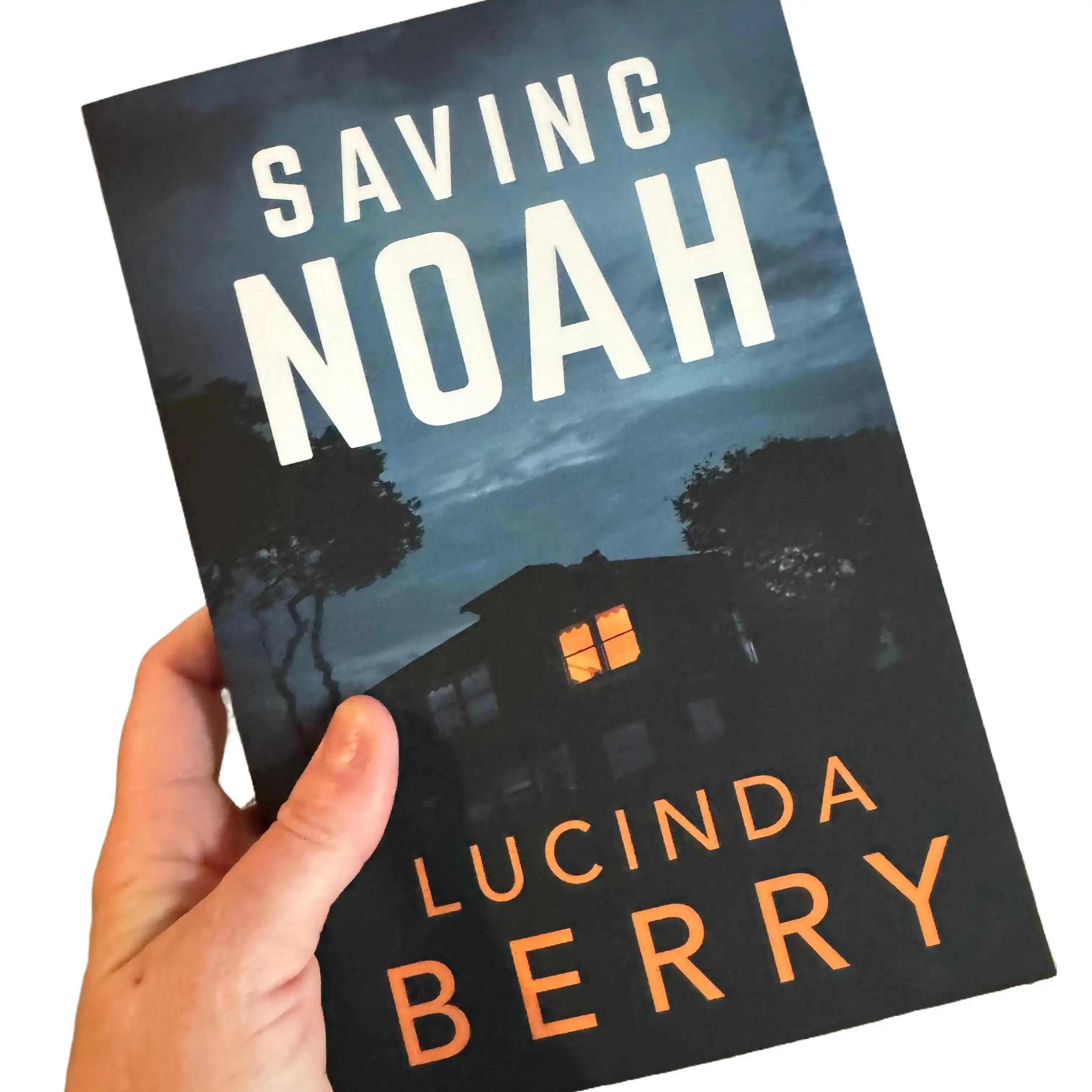 Saving Noah by Lucina Berry a Fictional Psychological Thriller